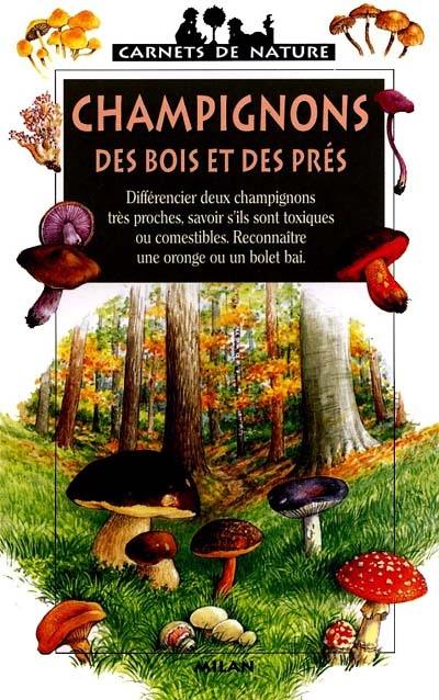 Champignons des bois et des prés