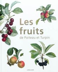 Les fruits