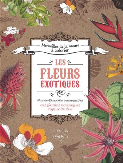 Les fleurs exotiques : plus de 40 modèles remarquables des jardins botaniques royaux de Kew