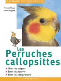 Les perruches callopsittes