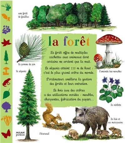 La forêt