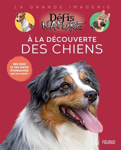 A la découverte des chiens : des quiz et des infos étonnantes sur les chiens !