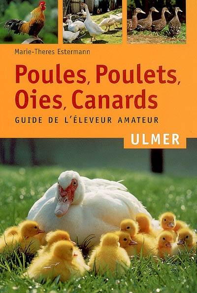 Poules, poulets, oies, canards