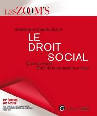 Le droit social : droit du travail, droit de la protection sociale : 2017-2018