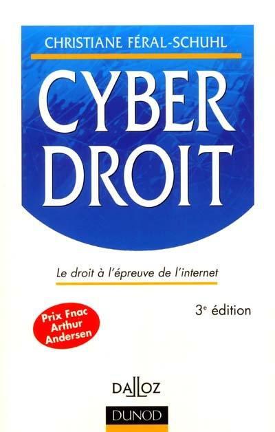 Cyberdroit : le droit à l'épreuve de l'Internet