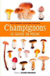 Champignons : le guide de poche