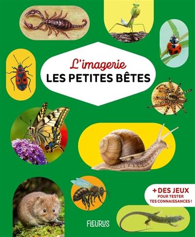 L'imagerie des petites bêtes