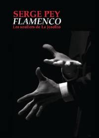 Flamenco : les souliers de La Joselito