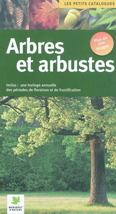 Arbres : les reconnaître facilement sans se tromper