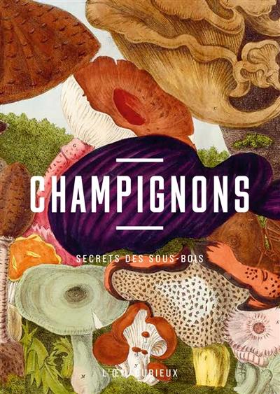 Champignons : secrets des sous-bois