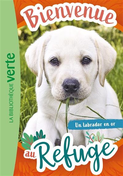 Bienvenue au refuge. Vol. 8. Un labrador en or