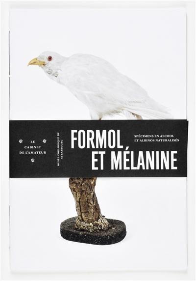 Formol et mélanine : spécimens en alcool et albinos naturalisés