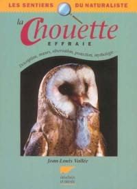 La chouette effraie : description, moeurs, observation, protection, mythologie...