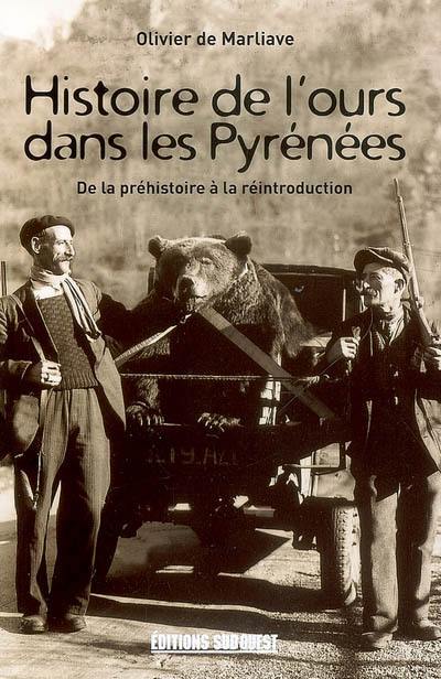 Histoire de l'ours dans les Pyrénées : de la préhistoire à la réintroduction