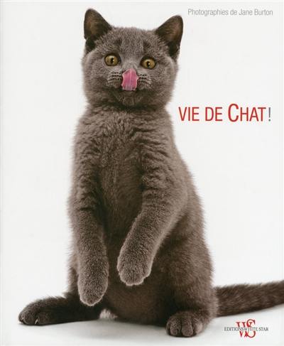 Vie de chat !