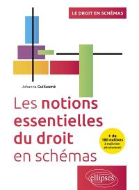 Les notions essentielles du droit en schémas : + de 180 notions à maîtriser absolument