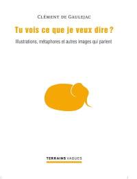 Tu vois ce que je veux dire ? : Illustrations, métaphores et autres images qui parlent