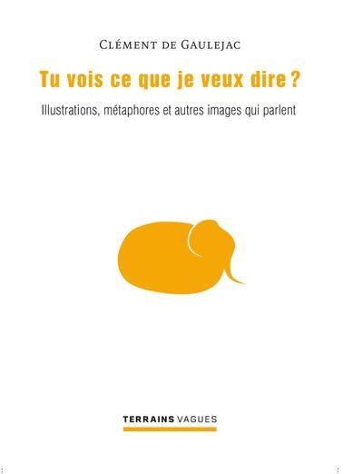 Tu vois ce que je veux dire ? : Illustrations, métaphores et autres images qui parlent