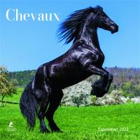 Chevaux : calendrier 2023