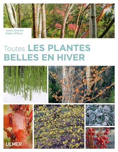 Toutes les plantes belles en hiver