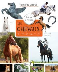 Les chevaux : quiz, jeux et p'tites infos