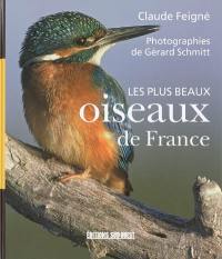 Les plus beaux oiseaux de France