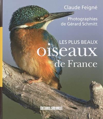 Les plus beaux oiseaux de France