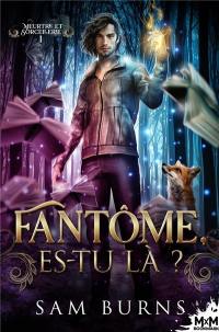 Meurtre et sorcellerie. Vol. 1. Fantôme, es-tu là ?