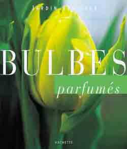 Les bulbes