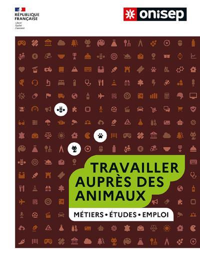 Travailler auprès des animaux : métiers, études, emploi