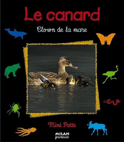 Le canard : clown de la mare