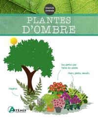 Plantes d'ombre