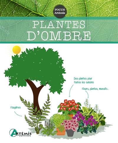 Plantes d'ombre