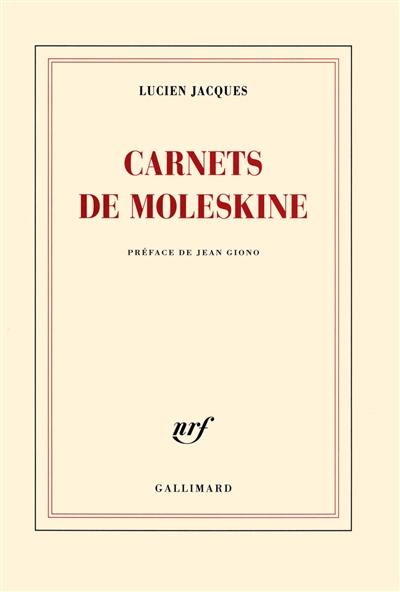 Carnets de moleskine