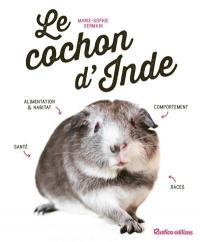 Le cochon d'Inde