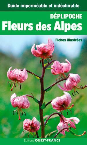 Fleurs des Alpes : fiches illustrées