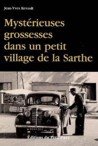 Mystérieuses grossesses dans un petit village de la Sarthe : le premier polar sans morts... Ce serait même plutôt l'inverse !