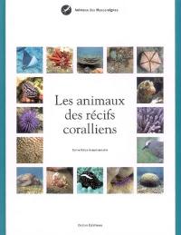 Les animaux des récifs coralliens