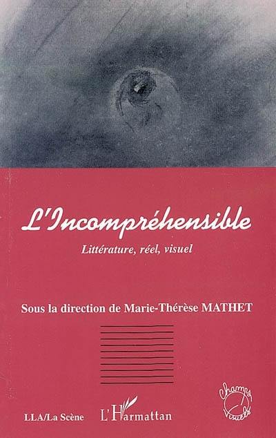 L'incompréhensible : littérature, réel, visuel