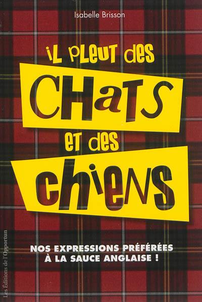 Il pleut des chats et des chiens : nos expressions préférées à la sauce anglaise !