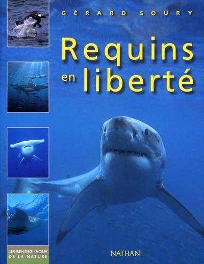 Requins en liberté