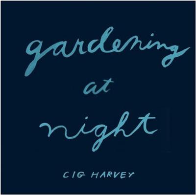 Cig Harvey Gardening at Night