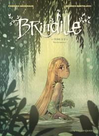 Brindille. Vol. 2. Vers la lumière