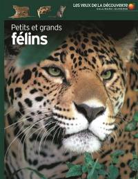 Petits et grands félins