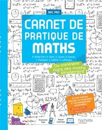 Carnet de pratique de maths ou Comment faire des maths simplement : voie professionnelle