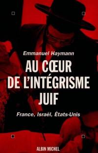 Au coeur de l'intégrisme juif : France, Israël, Etats-Unis