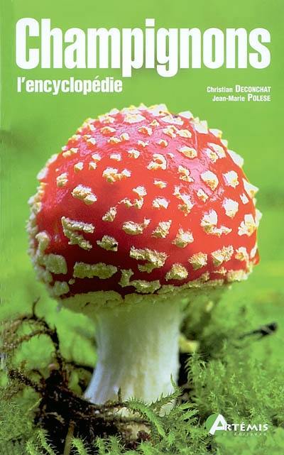 Champignons : l'encyclopédie