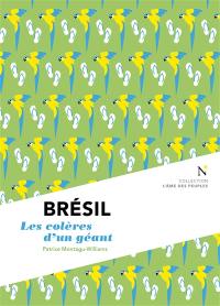 Brésil : les colères d'un géant