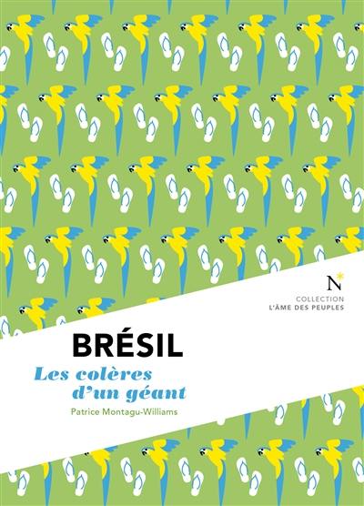 Brésil : les colères d'un géant