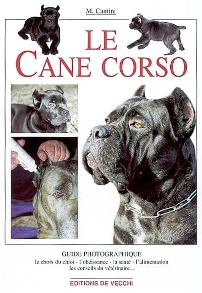 Le cane corso